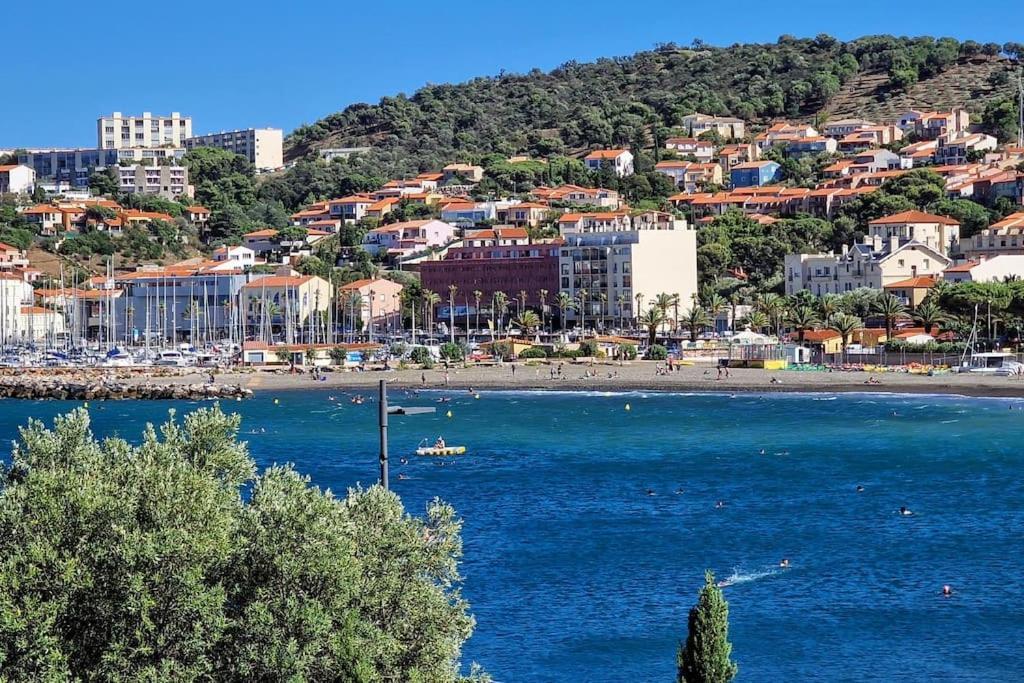 Unique Rare 1Ere Ligne Neuf Clim Lejlighed Banyuls-sur-Mer Eksteriør billede